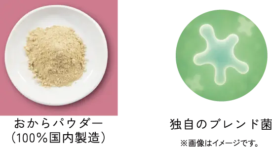 NaXess® ナクセス